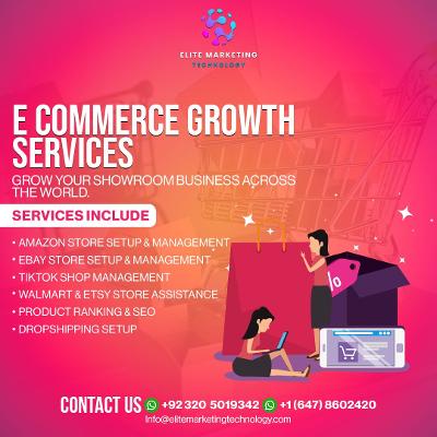Boost Your Business: Websites, Advertising & Online Presence Optimization